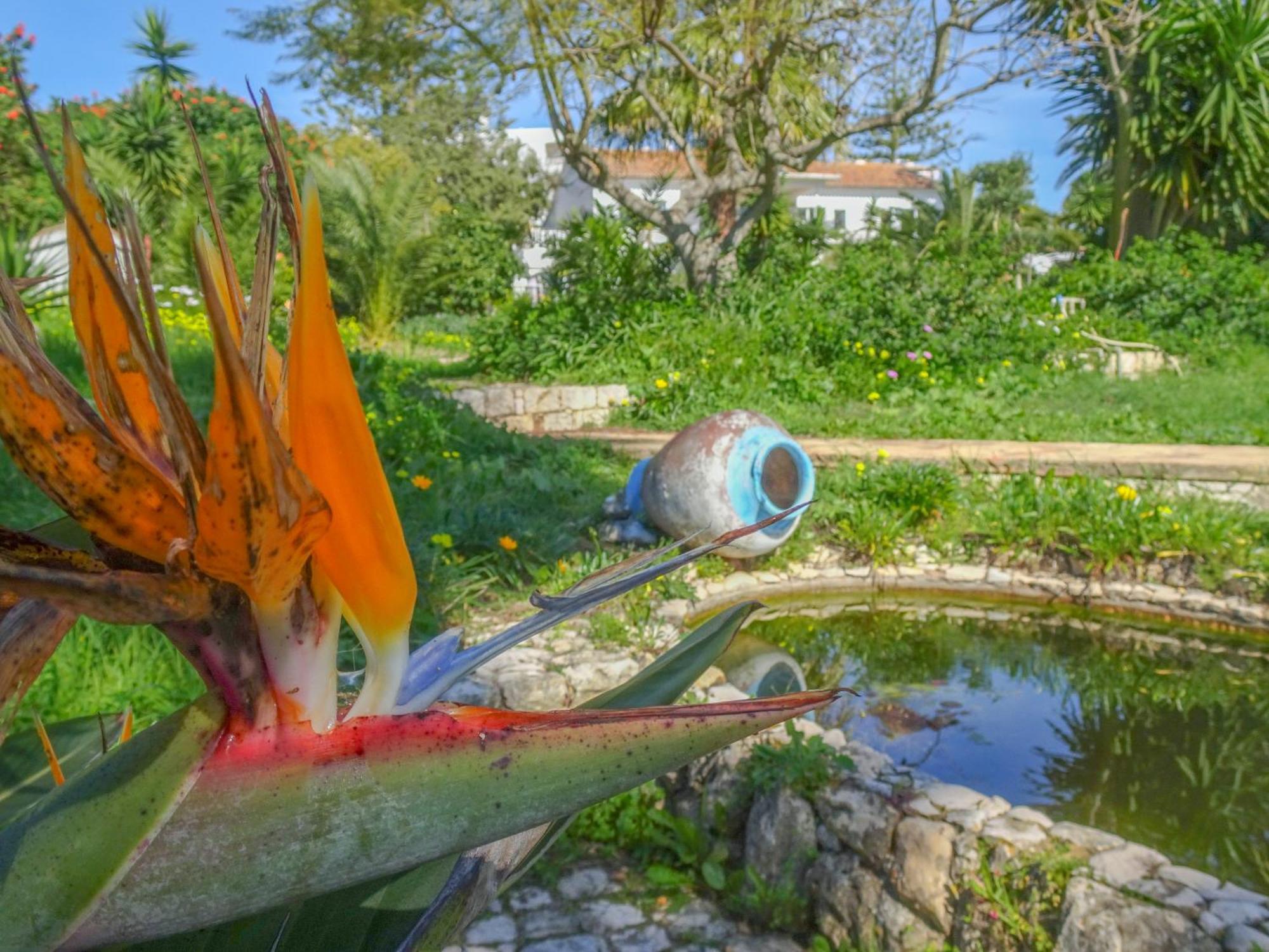 Quinta De لاغوس المظهر الخارجي الصورة
