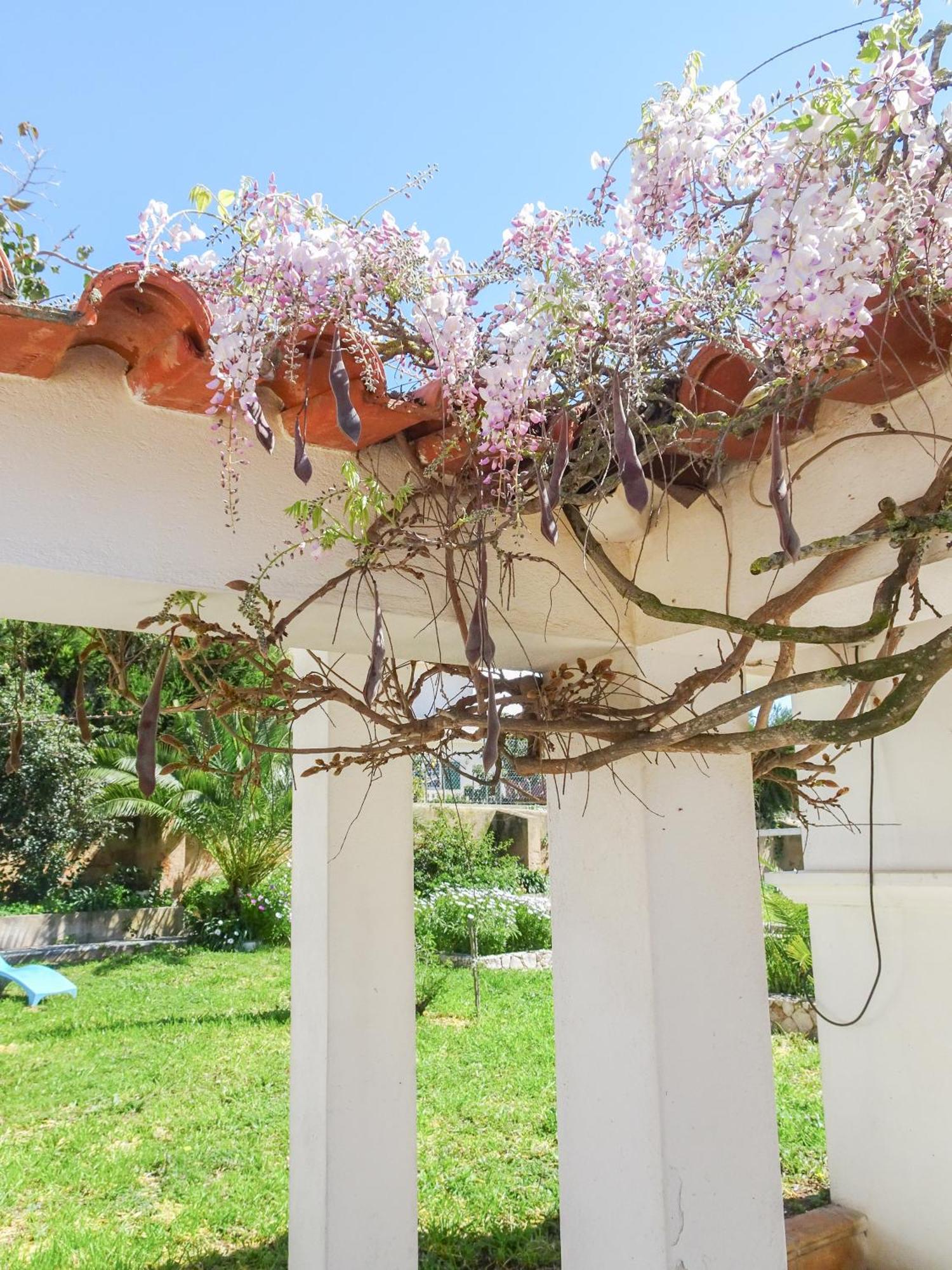 Quinta De لاغوس المظهر الخارجي الصورة